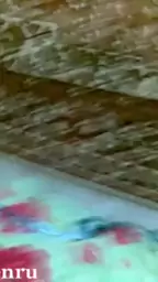 qunem