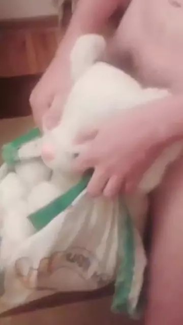 20170905 022446