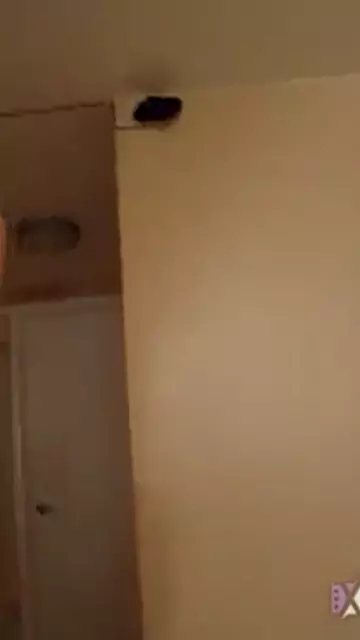 lvatsvats nadya qaylersis ovayty ovgheghy