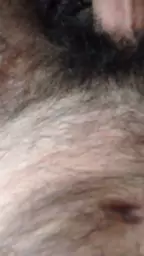 axjikner hamar