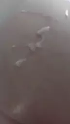 tsaghrel aynqan eritasard verjapes hetuyqn voroshetsi
