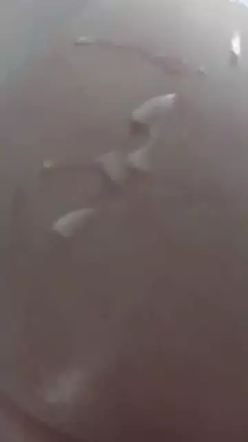 tsaghrel aynqan eritasard verjapes hetuyqn voroshetsi