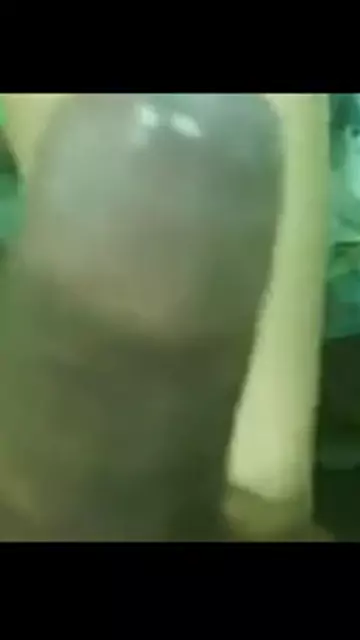 malaya aghjiky pahpanak