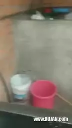պրոսպեկտի բոզը