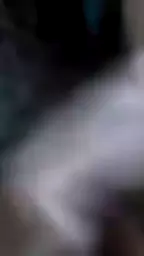 4cbbb9056026