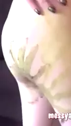 covered candy colors