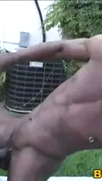 gets black cocks brunette gangbanged by busty bellamaria