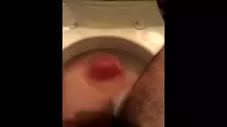 Office Building Toilet