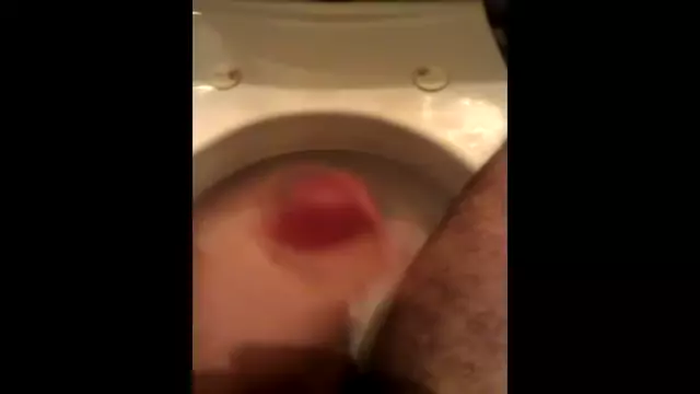 Office Building Toilet