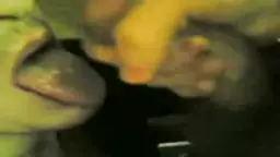 Tapuma beranis mej u verjum asum,vor gandon em