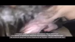 Kyanqis QUneluc--Armenian