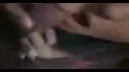 hay zuyg