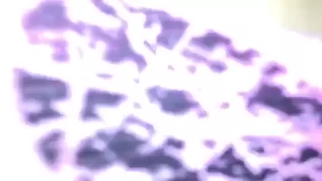 verjum tapum a vorin