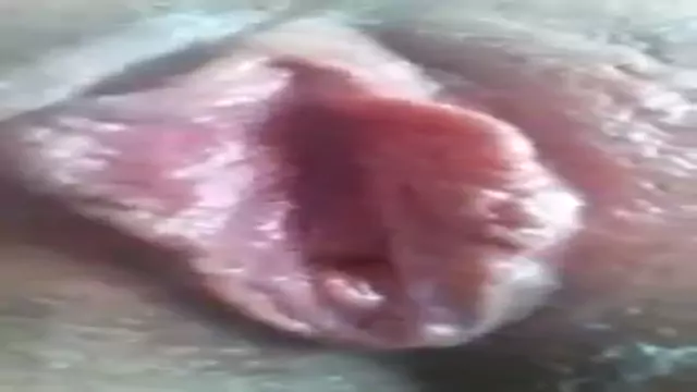 Xaxuma pci het u 3angam tapum
