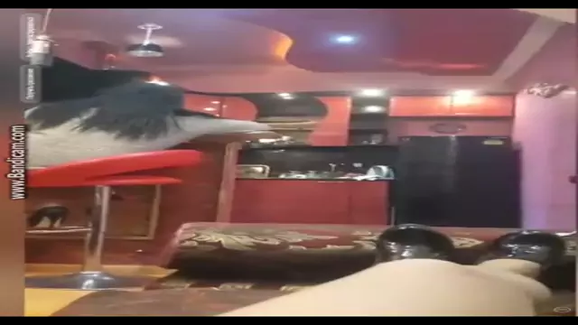 Putanka Syuzin ira ccox struki het periscopum!