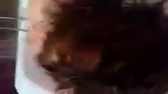 ANNAN BARNIQUM CCUM U QUNVUMA
