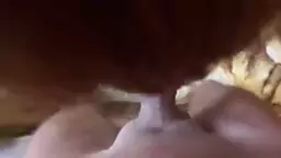 в попку