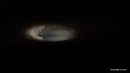 Spy urinal