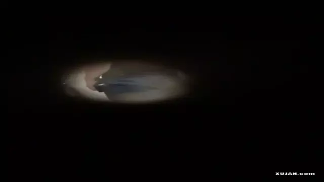 Spy urinal