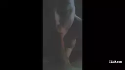 hay axchik