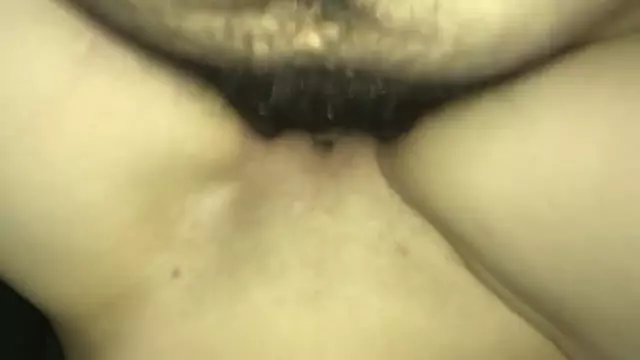 Anulis het,,,sharunakeli