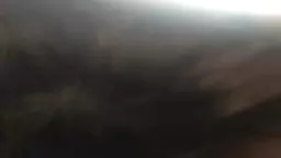 SEX MINET