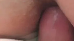 Amusnus motik ynkere qunuma pucs