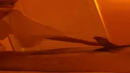 trim F1E792F4 58AF 4BCF ACBD C91DF088772F