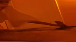 Blowjob Korean girl Armo dick