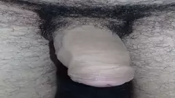 Ով վրեն կնստի կամ լավ կծծվի