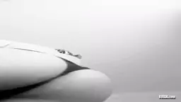 Ոռս