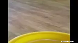 Եկավ Լուիզան