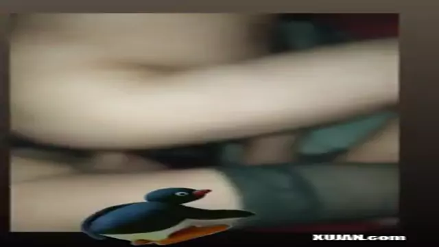 VID 20230221 060730 535