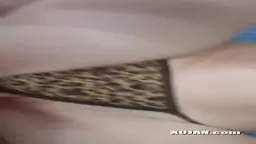 Tigrovka puc