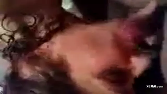 loxanaluc cecuma 1