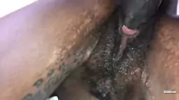 Ebony ass fucked hard