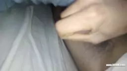 ankoxnum