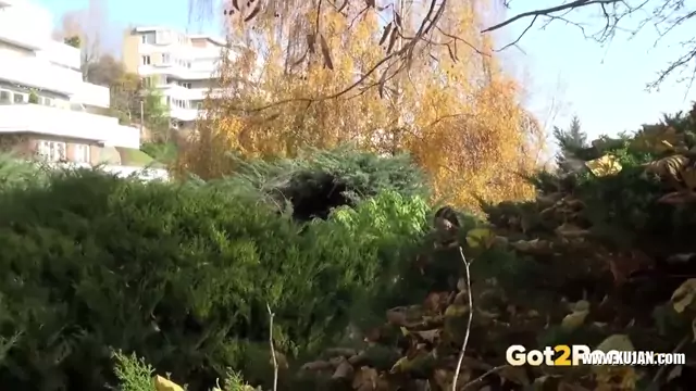 Brunette Babe Takes Huge Long Piss On Bench In Public