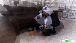 Puppet Pal Panda Zerella Skies