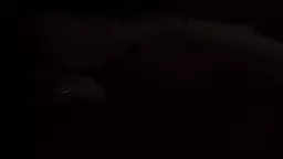 Ujex minet hyuranocum