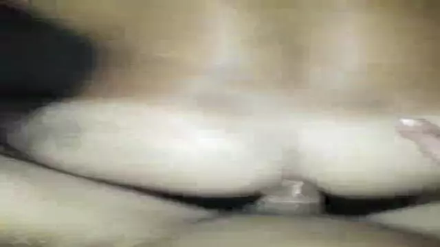 EU PASSIVON