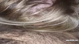 20240925 025411