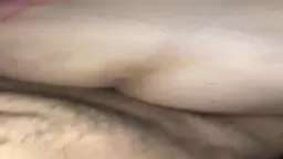 Qacis quneluc