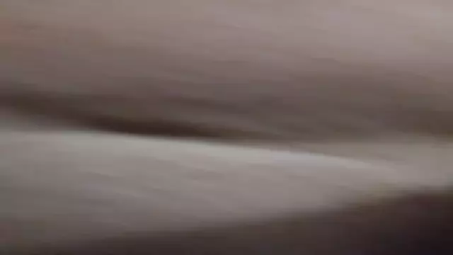 Hay bozi het