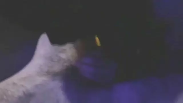Սիրատոգոր Կլրապաշտություն 😍