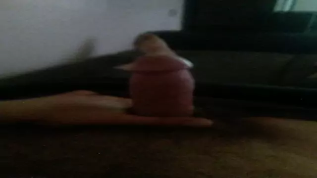 Kgjvcnem ktapes kyanks