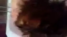 Ccuma u qunvum