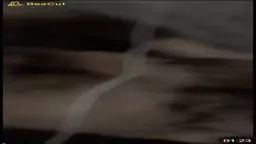 Es em
