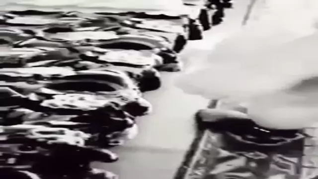 Անուշը ուռելելա սիրում