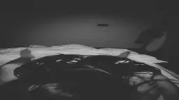 1755739105023759